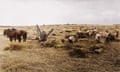 Period colourised photograph of agricultural labourers in a field, including two sitting on a piece of horse-drawn agricultural machinery