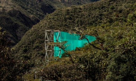 The forests of Wayqecha, Peru