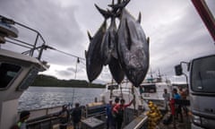 High-grade tuna fetches top dollars, around $2,800 wholesale, particularly  in Japan, where the fish feeds an appetite for sushi.