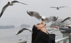 Woman feeds gulls with food from her mouth