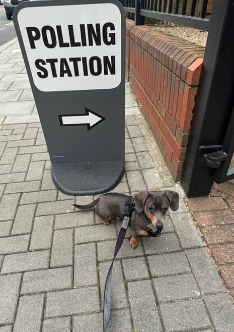 Ralph not loving polling day in Brixton.