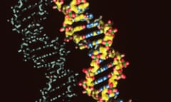 doublestranded DNA DNA helix<br>AXJJPK doublestranded DNA DNA helix
