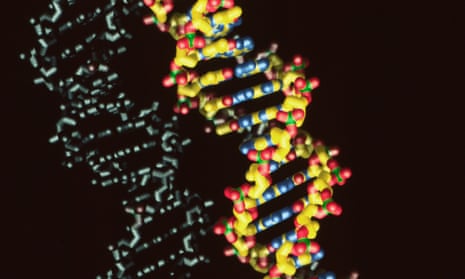 The central issue: whether or not powerful new molecular engineering techniques should be used to create genetically modified children.