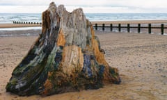 A preserved tree trunk on the beach at Rhyl, taken in 2019.