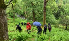 Borrowdale rainforest in Lake District