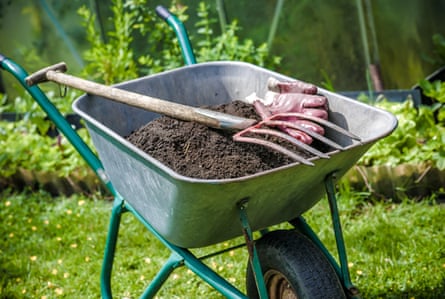 Wheelbarrow full of humus in the garden