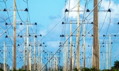 Energy poles by Florida Power and Light from Turkey Point nuclear generating station in Miami, Florida.