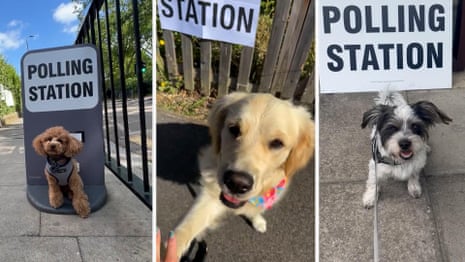 Dogs join their owners at UK polling stations – video 