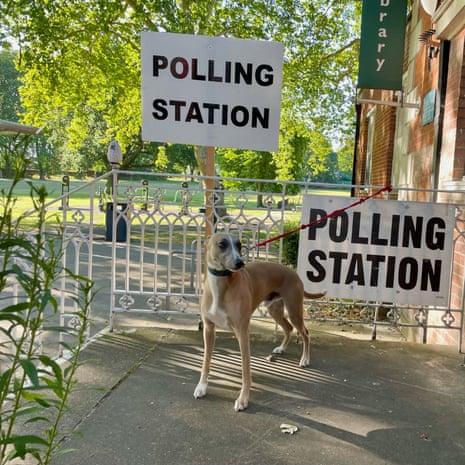A ‘pensive pooch’ at a polling station in south-east London today.