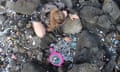 A bird's eye shot of a woman squatting on a rocky beach, sorting through plastic using a pink sieve.