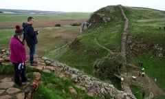 Low tree cover partly explains why Northumberland is sometimes called the “land of far horizons”.