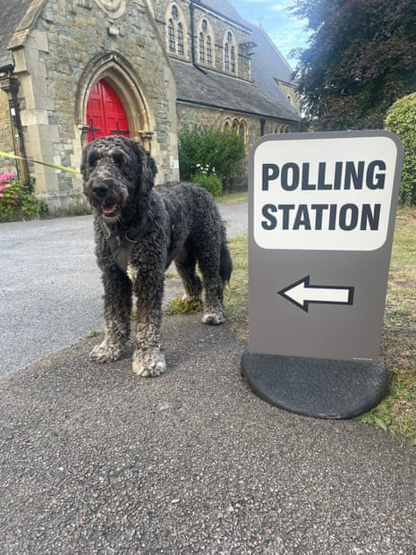 Fozzie the Pyredoodle outside a polling station in the Folkestone and Hythe constituency.