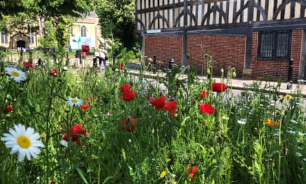 Walthamstow Village in Bloom