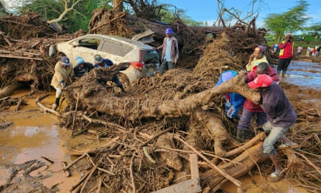 People trying to move a tree that has been uprooted from the flooding