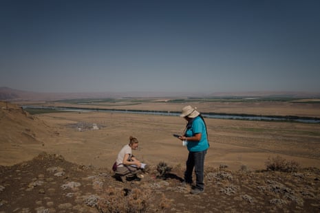 Trina Sherwood, a cultural specialist for the Yakama Nation's Environmental Restoration and Waste Management Program, during a trip to collect data on the Umtanum desert buckwheat.