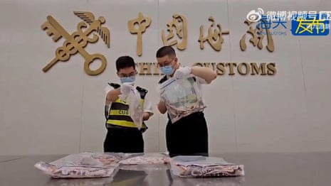 Border agents show transparent plastic bags filled with snakes – video