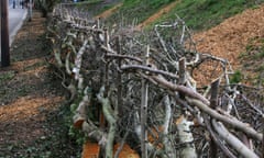 Hedge laying