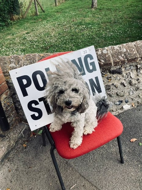 Wookie at a polling station in Glynde.
