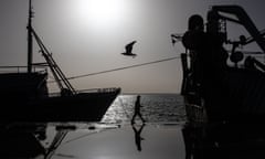 A seagull flies past a worker and a fishing vessel docked in the main port in Dakhla city, Western Sahara