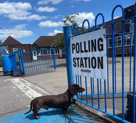 Lenny the Dachshund at the polling station.