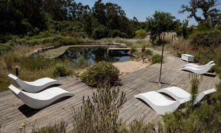 Loungers on decking around pond