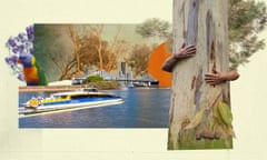 Composite image of the Brisbane River and its banks, including a river ferry and someone hugging a tree