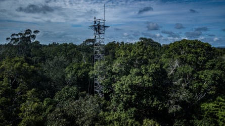 A monitoring tower in the middle of the rainforest