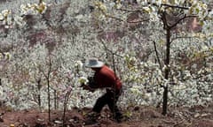 CHINA-SICHUAN-HANYUAN-FLOWERS (CN)