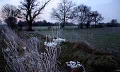 Graham Turner for Green shoot : A heavy frost on plants in a field in Suffolk