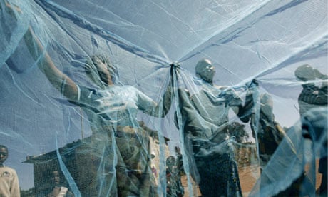 malaria nets
