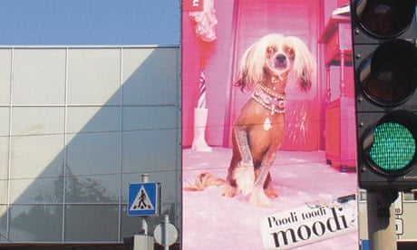 postcard by Jonathan Meades: Liisi dog TV star Estonia