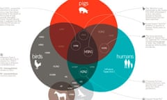 Information is Beautiful on influenza