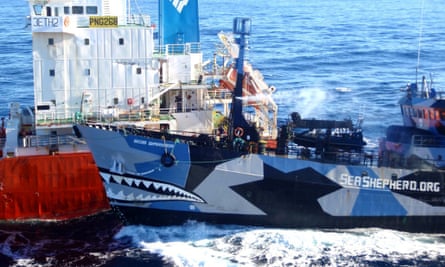 The Sea Shepherd ship colliding with a Japanese whaling fleet fuel tanker. Japanese whalers and militant conservationists clashed dangerously in icy waters off Antarctica.
