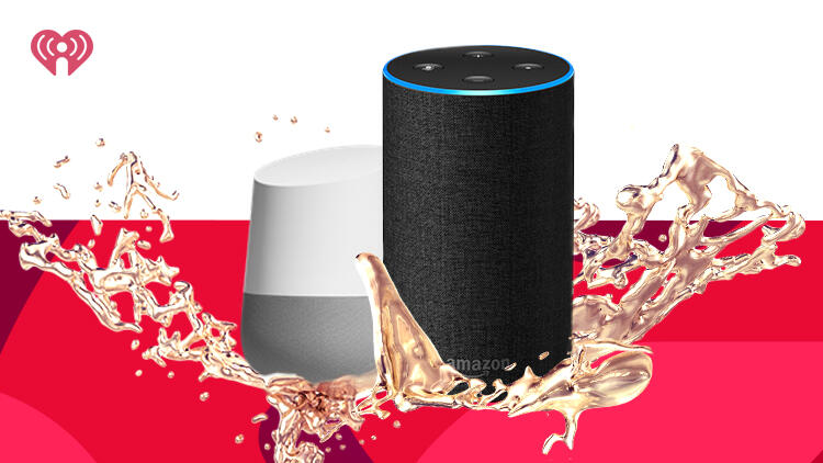 Amazon Alexa and Google Home