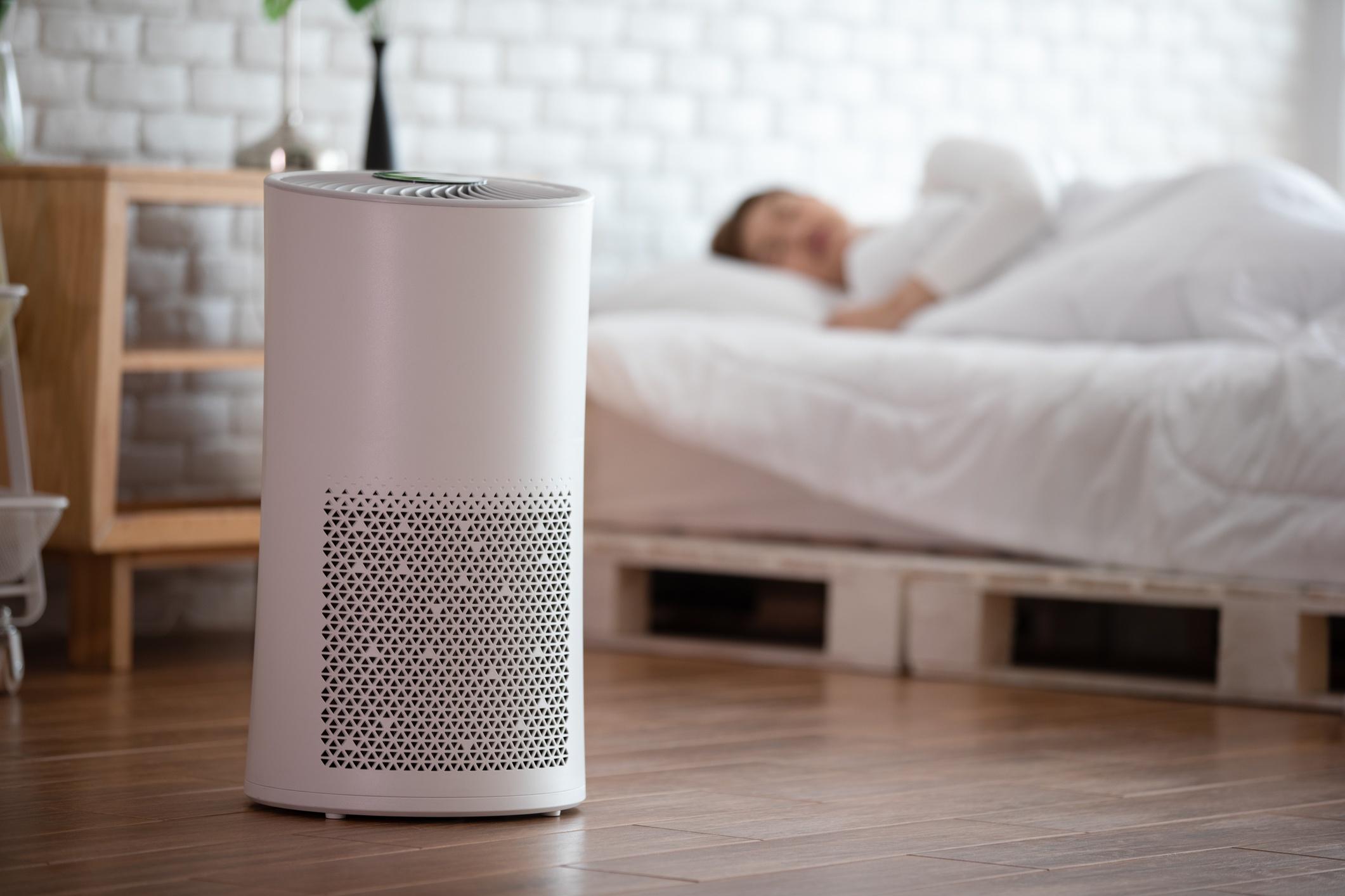 Do I Really Need an Air Purifier?