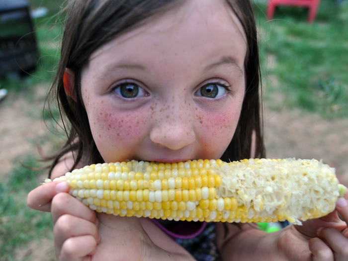 Girl eating ear of corn at county fair.