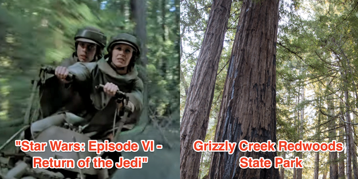 speed biker scene in return of the jedi labled with the movie's title and a shot of redwoods state park in california labeled with the park's name