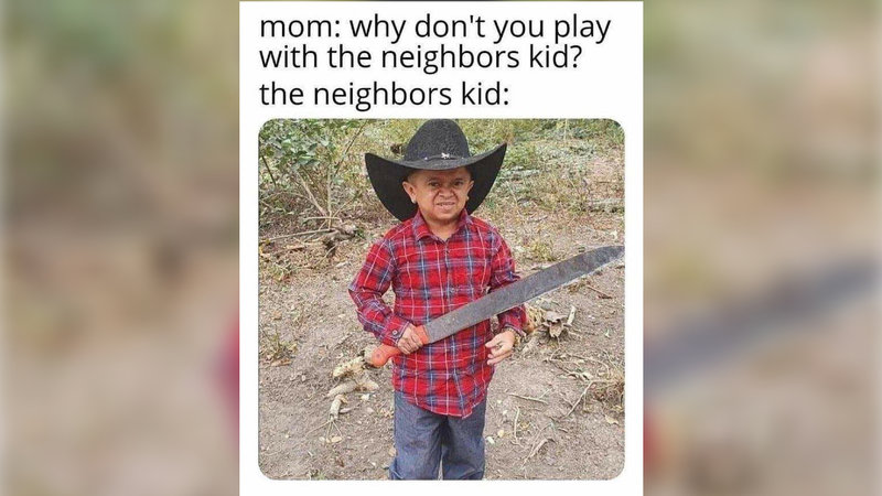 The Neighbor's Kid meme example.