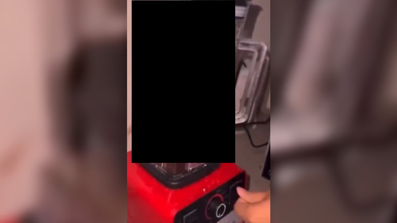 A censored screenshot of the Cat Blender viral video.
