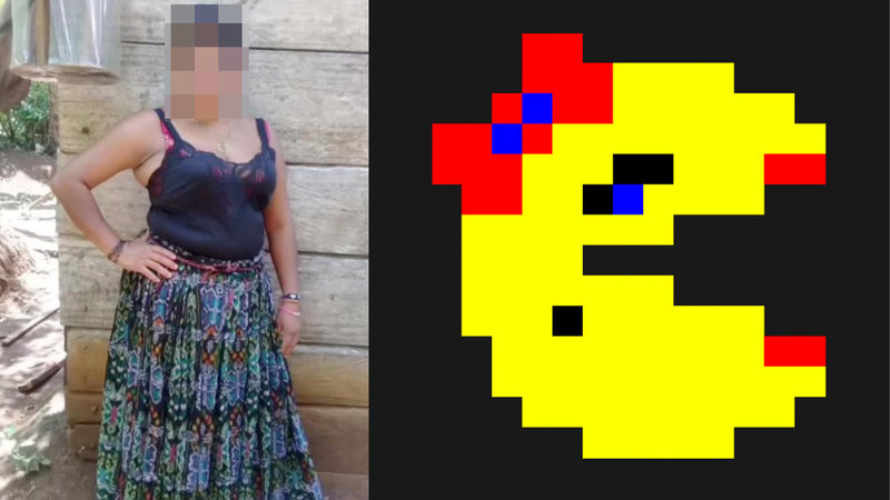 An image of the woman from the "Miss Pacman" video and the video game character.