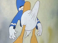 Donald Duck Boner