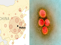 Covid-19 Coronavirus outbreak in Wuhan | Map showing the early sign of the outbreak prior to exploding globally