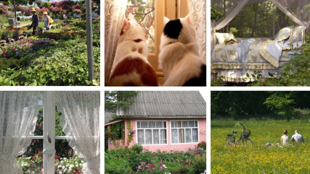 Aesthetic collage | garden, flowers, cats, tiled roof, comfy bed