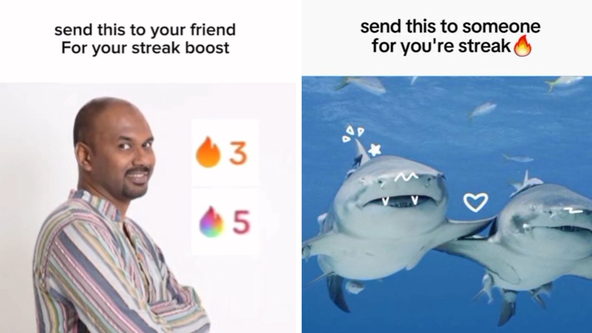 TikTok Streaks image and meme examples.