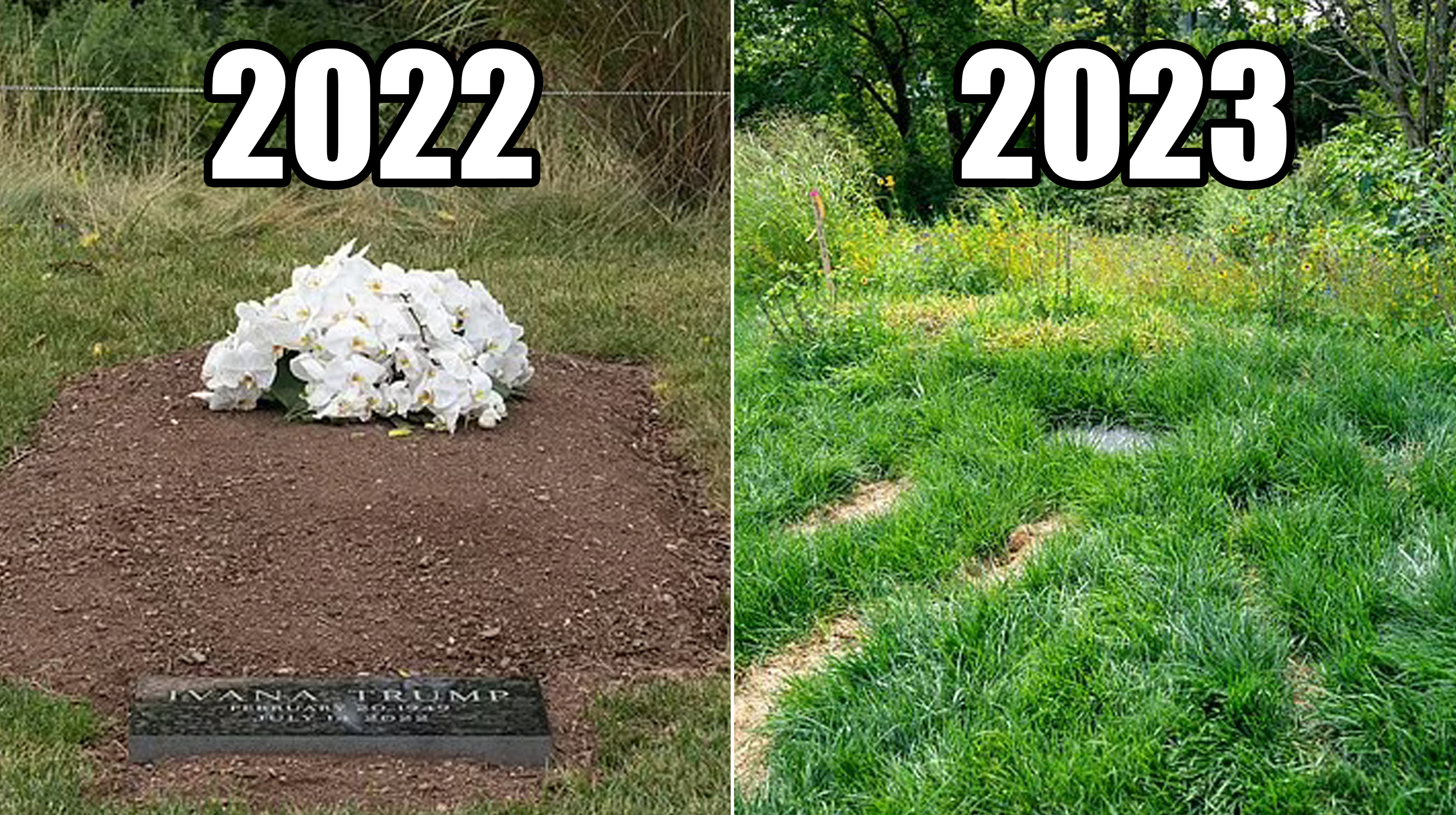 An image of Ivana Trump Grave in 2022 vs 2023 / Donald Trump Jr Buried at Unmarked Golf Course Grave.