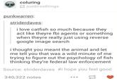 coluring ustbrosthings punkwarren: striderdaves: i love catfish so much because they act like theyre fbi agents or something when theyre really just using reverse google image search i thought you meant the animal and let me tell you that was a wild minute of me trying to figure out the psychology of fish thinking they're federal law enforcement Source: striderdaves #1 hope you feel good 340,322 notes