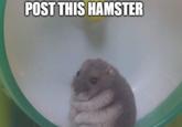 POST THIS HAMSTER