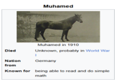 Muhamed Muhamed in 1910 Died Unknown, probably in World War | Nation from Germany Known for being able to read and do simple math