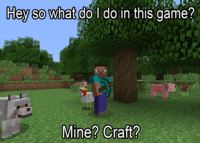 Hey so what do I do in this game? Mine? Craft?