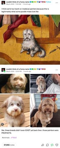 couldnt-think-of-a-funny-name May 9, 2024 11:54 AM 1 month ago Follow I think we're too harsh on medieval painters because this is legitimately what some poodle mixes look like couldnt-think-of-a-funny-name May 9, 2024 12:00 PM 1 month ago B 3.4K a C like. these breeds didn't even EXIST yet back then. those painters were PROPHETS. #animals #art 37,955 notes D D 68